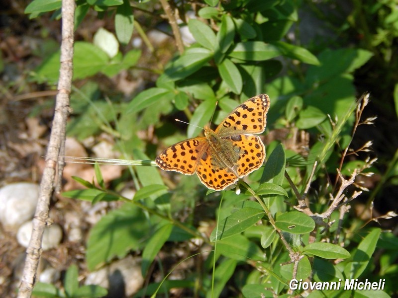 Parco del Ticino incontri del 27.5.15